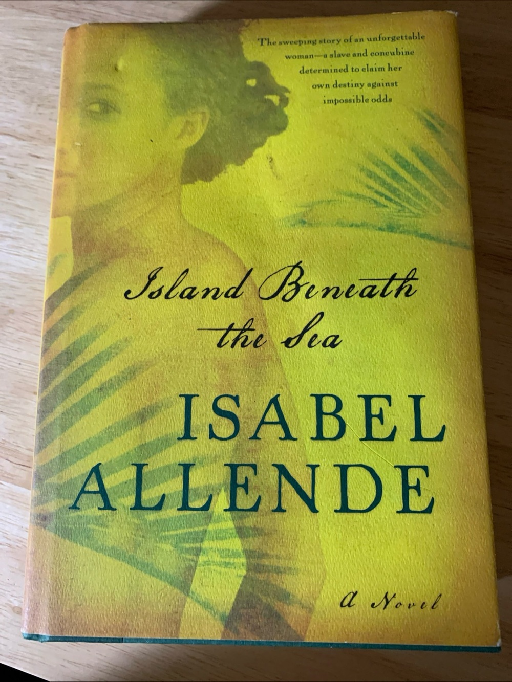 Island Beneath the Sea : A Novel by Isabel Allende (2010, Hardcover)